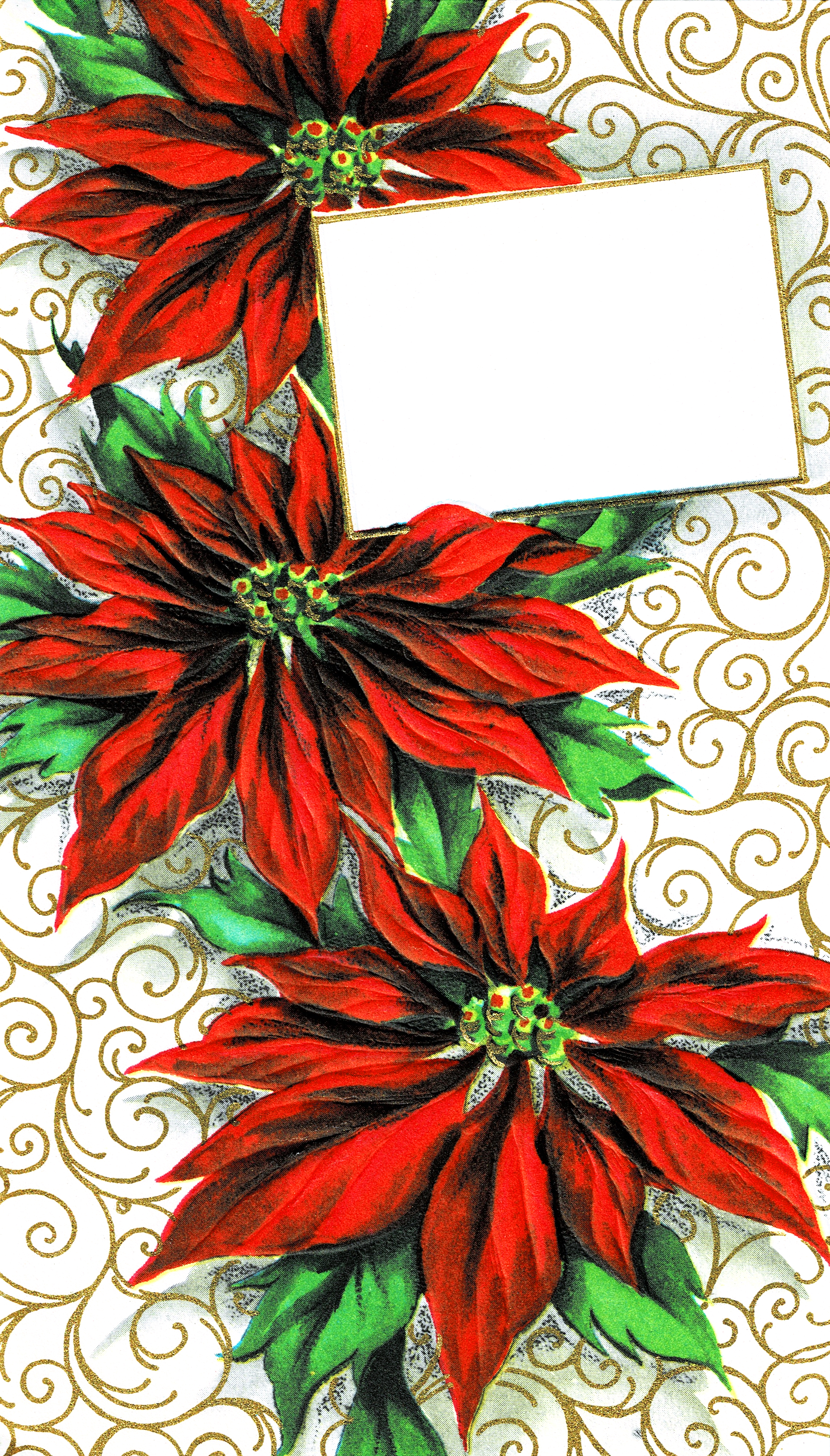 free poinsettia image with blank tag