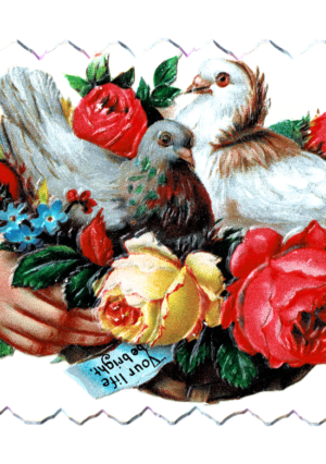 free victorian calling card graphic