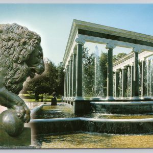 Postcard The Lion Cascade St. Petersburg Russia
