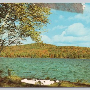 Greetings from Kenhaven Balsam Lake Cameron Ontario Canada Postcard