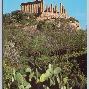 Temple of Juno Argigento Sicily Italy Postcard